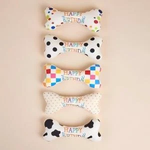 Colourful bone squeaky toy — model 202407130001