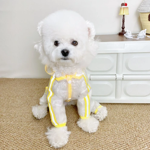 Four-leg raincoat with tail — model 20250411