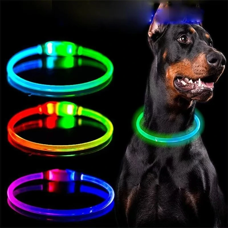 All-over luminous collar — model 20260605