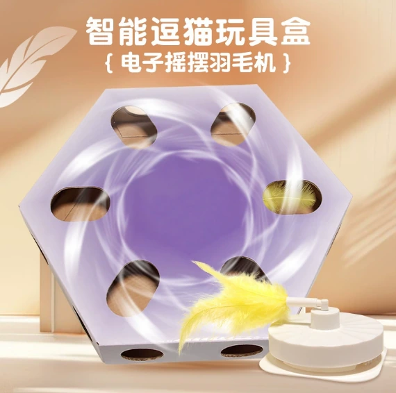Cat teaser box — model 202508130