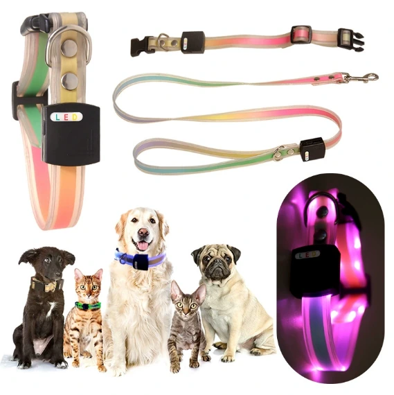 Iridescent collar and leash — model 202506300