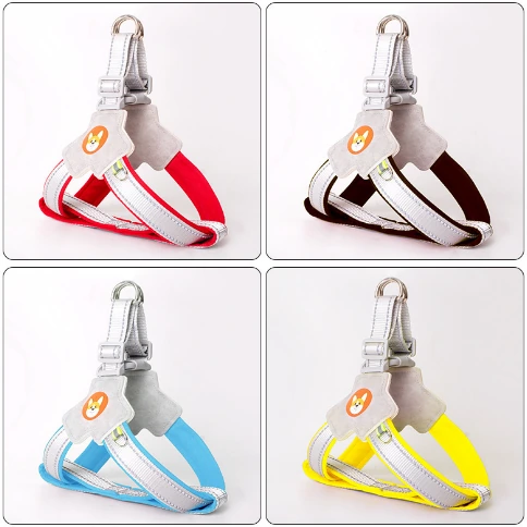 Y-shaped harness — model 20250413