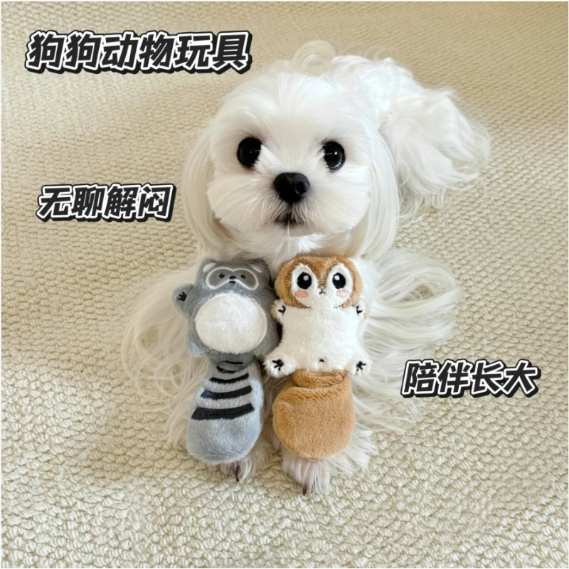 Pet squeaking toy — model 20261525